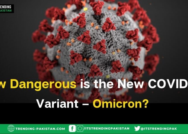 How Dangerous is the New COVID-19 Variant – Omicron?
