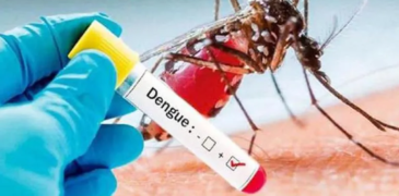 Dengue and Malaria again attacking a huge population of Pakistan; Precautions to adopt