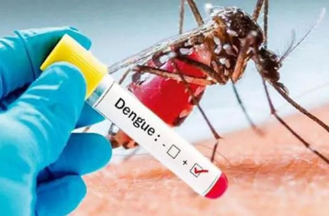Dengue and Malaria situation in Pakistan