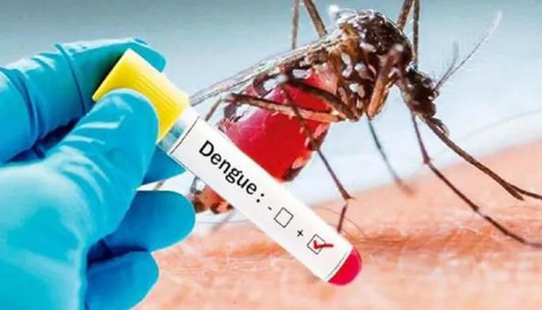 Dengue and Malaria situation in Pakistan