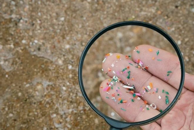 Scientists urge to raise awareness against plastic consumption after observation of microplastics in mothers’ milk