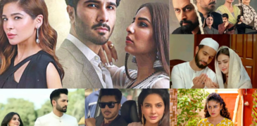 These onscreen Pakistani couples made the audience infatuated in 2022