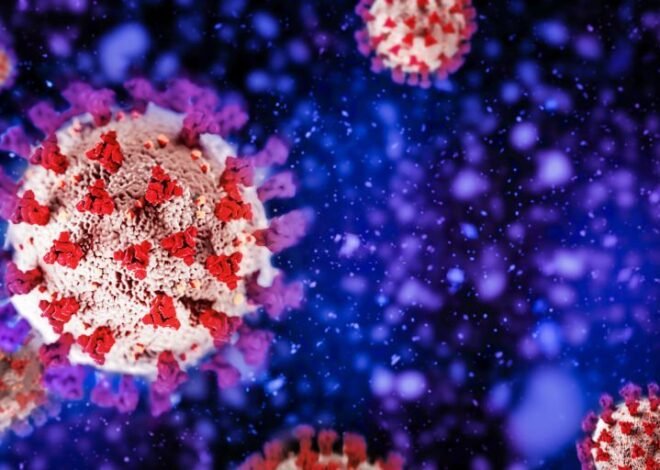 Pakistan Reports Zero Deaths and Low Positivity Ratio in Latest COVID-19 Update