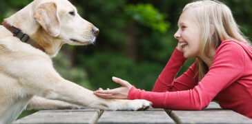Revolutionary AI Tool Deciphers Animal Languages, Unveils New Conservation Efforts