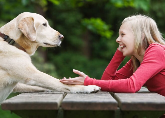 Revolutionary AI Tool Deciphers Animal Languages, Unveils New Conservation Efforts