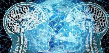 Exercise Can Reduce the Risk of Neurodegenerative Diseases
