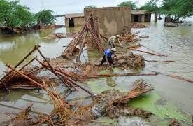 Misuse of Flood Relief in Sindh Goes Unchecked