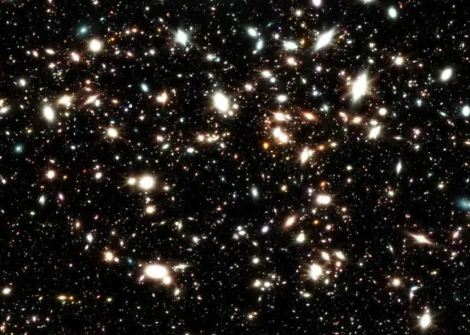 Beyond the Stars: Exploring the Richness of Interstellar Space