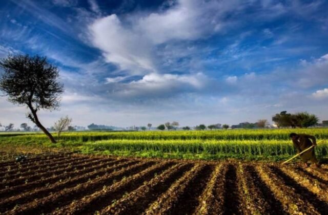 The Prospects of Green Politics for a Sustainable Future in Pakistan