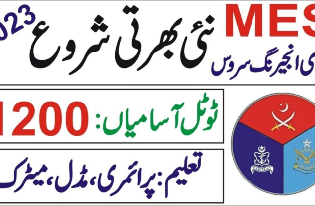 New Government Job: MES Announce New Jobs 2023
