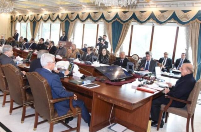 Austerity Drive: 50% Cut In Cabinet Size Proposed