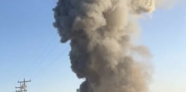 18,000 Cattle Die in a Deadly Explosion in Texas