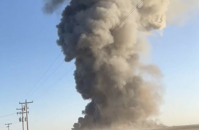 18,000 Cattle Die in a Deadly Explosion in Texas
