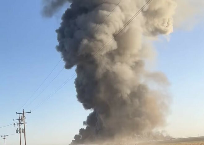 18,000 Cattle Die in a Deadly Explosion in Texas