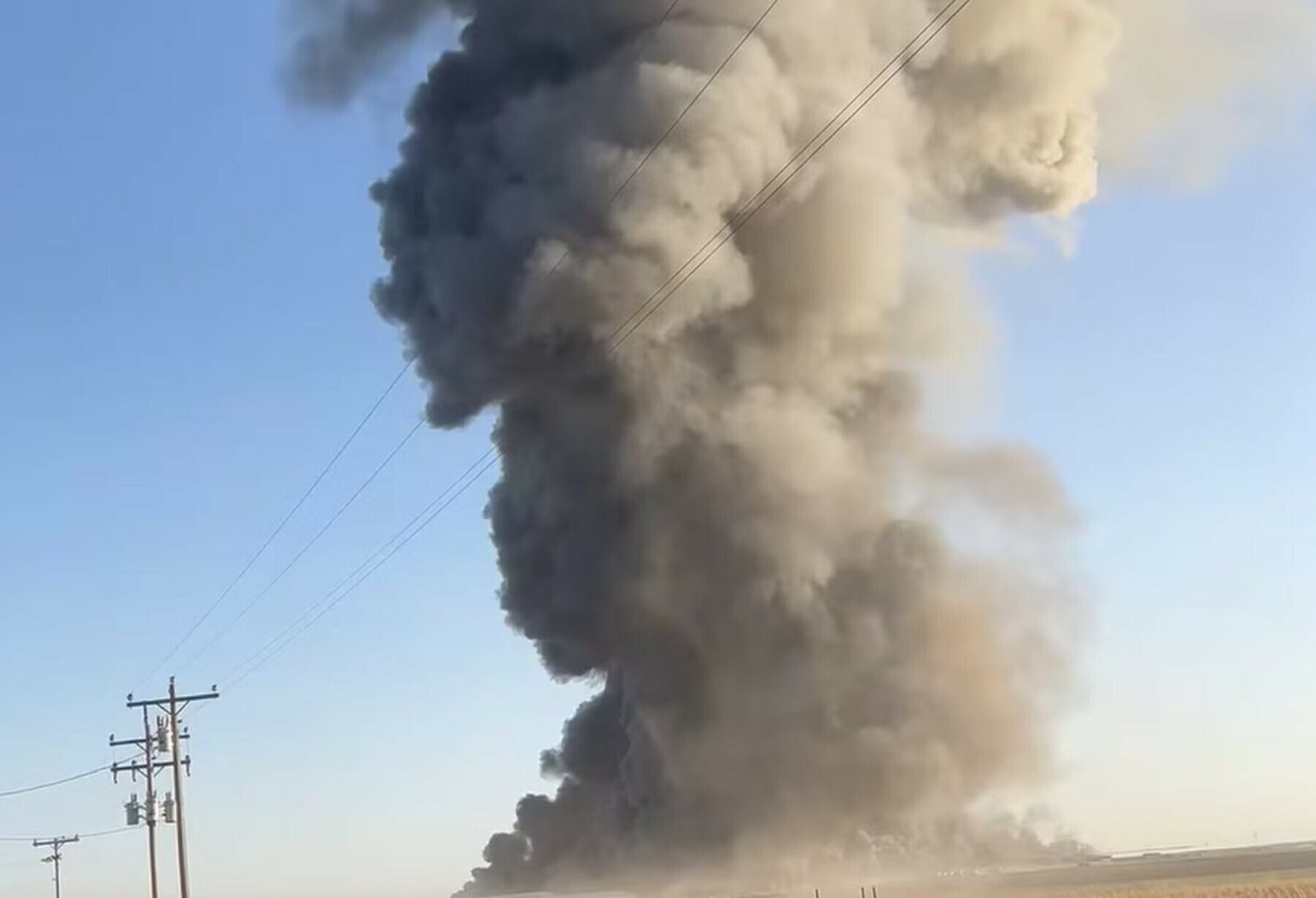 18,000 Cattle Die in a Deadly Explosion in Texas