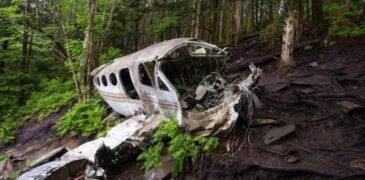 Surviving Against the Odds: Indigenous Children Found Alive Two Weeks After Plane Crash in Colombia