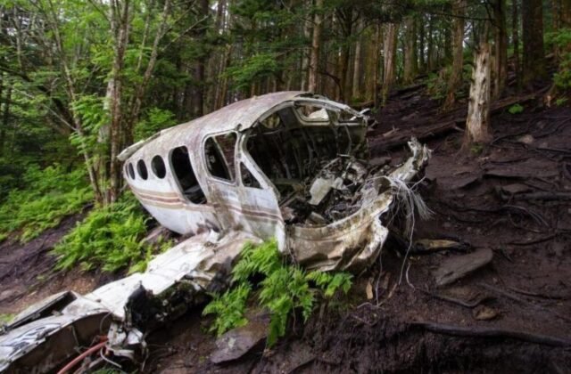 Surviving Against the Odds: Indigenous Children Found Alive Two Weeks After Plane Crash in Colombia