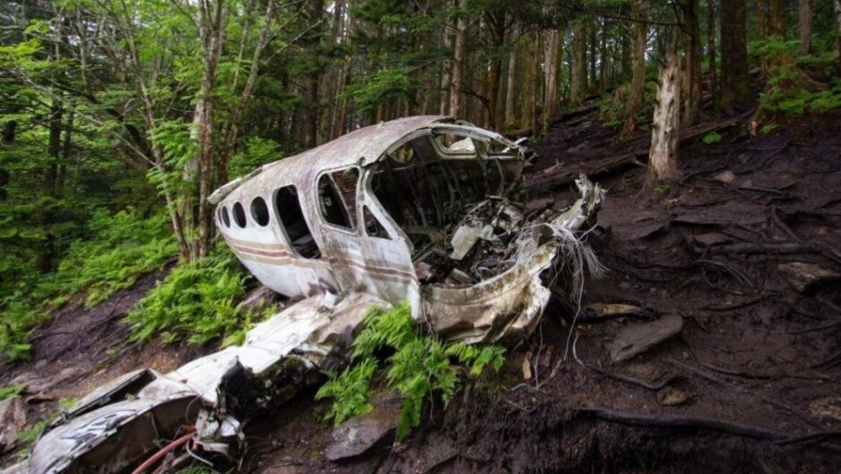 Surviving Against the Odds: Indigenous Children Found Alive Two Weeks After Plane Crash in Colombia