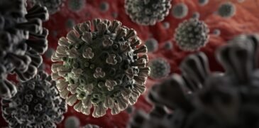 WHO Experts to Decide Whether to End COVID Emergency