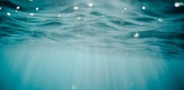 Florida Man Sets a New Record by Spending 74 days Underwater