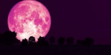 Be Ready to Witness Strawberry Moon This Weekend