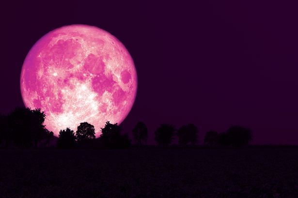 Be Ready to Witness Strawberry Moon This Weekend
