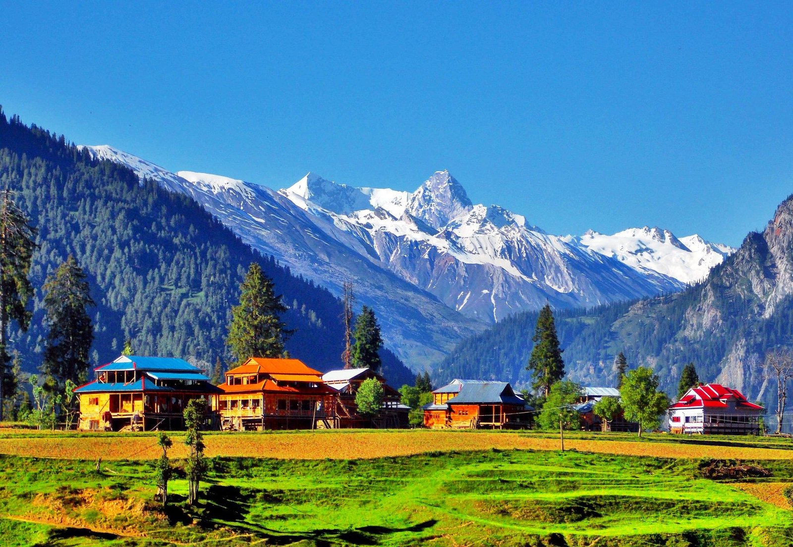 Kashmir’s Top 5 Travel Attractions