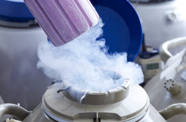 Majority of Women Who Choose to Freeze Their Eggs Don’t Even Use Them: Study