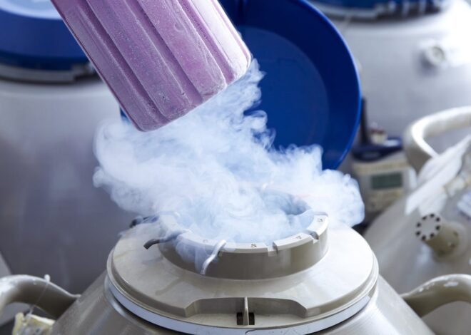 Majority of Women Who Choose to Freeze Their Eggs Don’t Even Use Them: Study