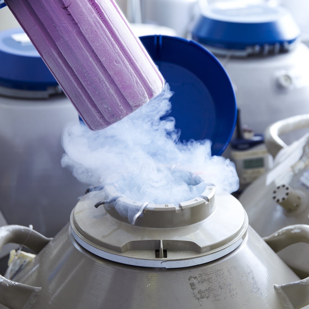 Majority of Women Who Choose to Freeze Their Eggs Don’t Even Use Them: Study