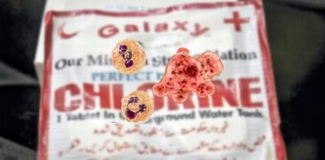 Karachi Residents Urged to Protect Against Deadly Brain-Eating Amoeba