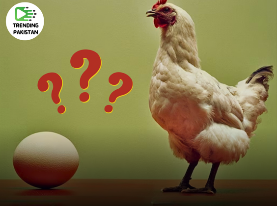 Chicken or Eggs