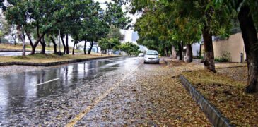 Unexpected Rainfall Provides Relief from Scorching Heat in Islamabad