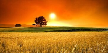 Earth witnessed its highest recorded average temperature