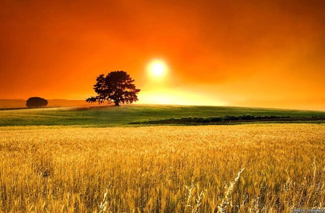 Earth witnessed its highest recorded average temperature