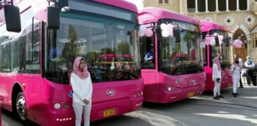 Sindh Government to Appoint Female Drivers for Pink Bus Service