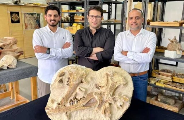 41 Million-Year-Old Whale Remains Unearthed in Egypt Desert