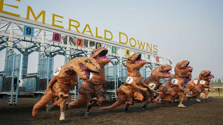 200 Dinosaurs Participated In This Weird Race That Happened in Seattle, US