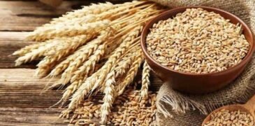 Imported Wheat Sets Sail for Karachi Amid Flour Shortage