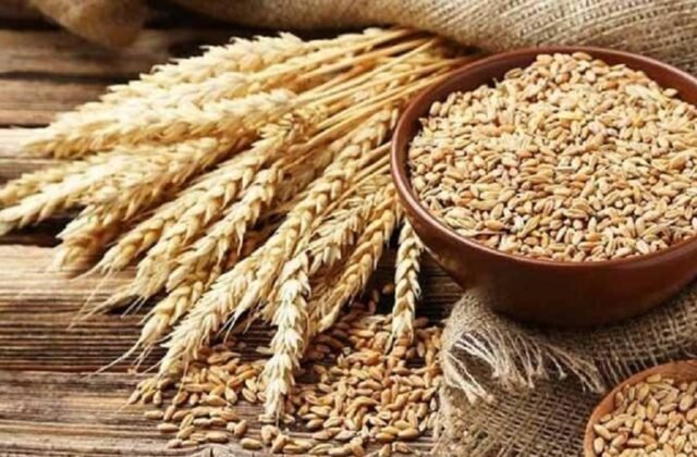 Imported Wheat Sets Sail for Karachi Amid Flour Shortage