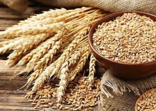 Imported Wheat Sets Sail for Karachi Amid Flour Shortage