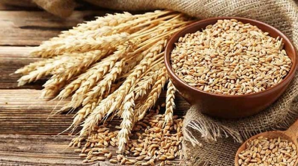 Imported Wheat Sets Sail for Karachi Amid Flour Shortage