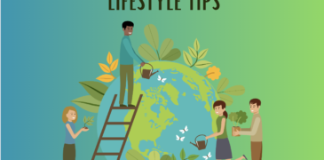 Embracing a Low Energy Consumption Lifestyle: A Sustainable Choice