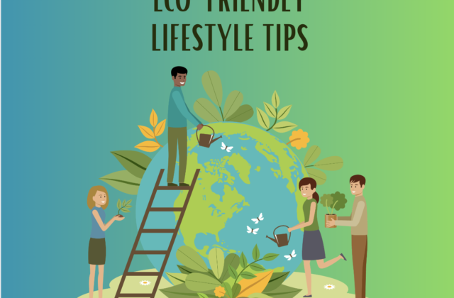 Embracing a Low Energy Consumption Lifestyle: A Sustainable Choice