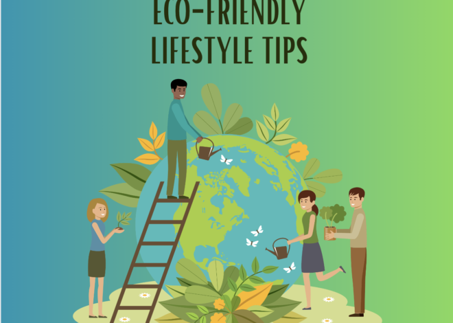 Embracing a Low Energy Consumption Lifestyle: A Sustainable Choice