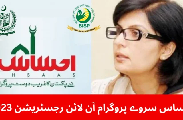 Ehsaas Survey Program 2023: Online Registration Made Easy