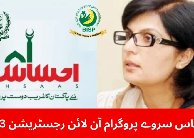 Ehsaas Survey Program 2023: Online Registration Made Easy