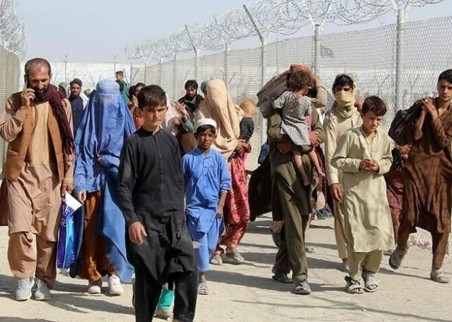 Over 167,774 Afghan immigrants return home