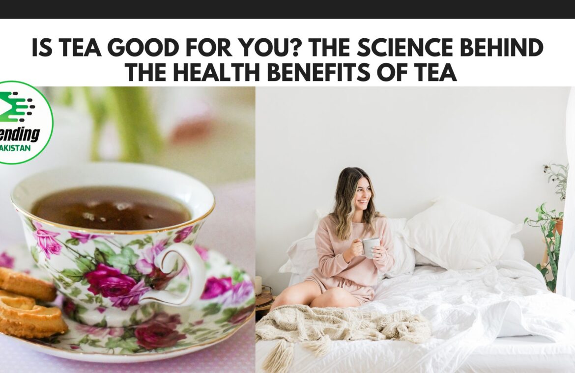 Is Tea Good for You? The Science Behind the Health Benefits of Tea