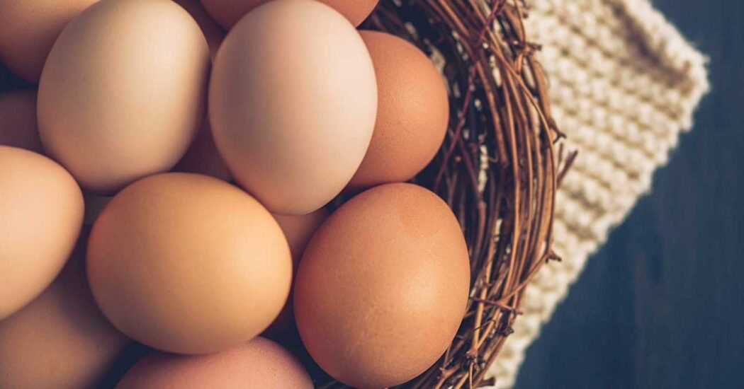 Egg Prices in Major Pakistani Cities Hit Alarming Highs